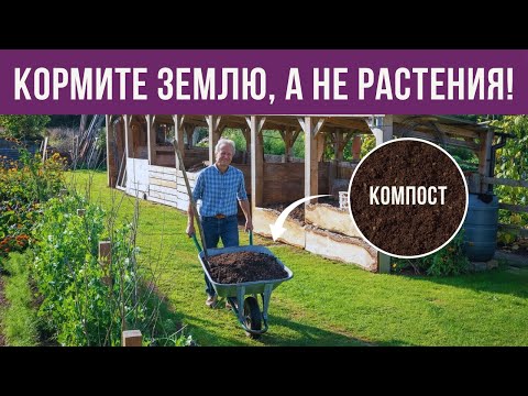 Видео: Как улучшить ПЛОДОРОДИЕ ПОЧВЫ органическим способом?
