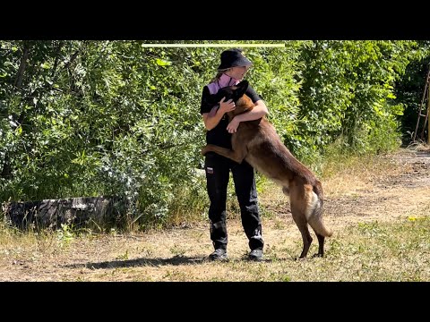 Видео: Малинуа Шнур. Orko des Feux de l’Espoir&Ксения Казакова. Мондьоринг 3, 329б.