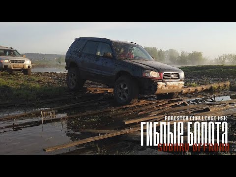 Видео: Через старые болота в сгоревшую деревню. Немного рыбалки. Subaru forester 4x4 offroad
