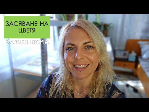 Видео: ЗАСЯВАНЕ на ЛЕТНИ цветя