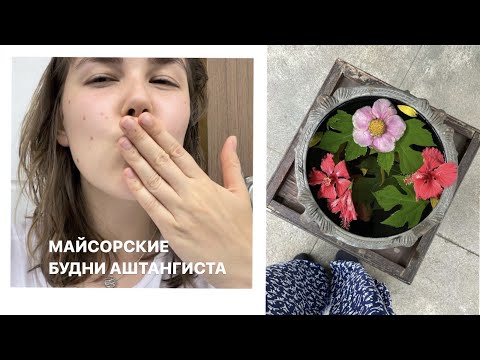 Видео: МАЙСОР: Английский язык, Приключения с Рикшей и Практика