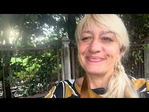 Видео: Таиланд,  Дерево баньян (Banyan Tree).