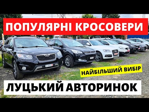 Видео: ПОПУЛЯРНІ КРОСОВЕРИ НА ЛУЦЬКОМУ АВТОРИНКУ // 22.08.2024р #автобазар  #автопідбір #автопідбірлуцьк