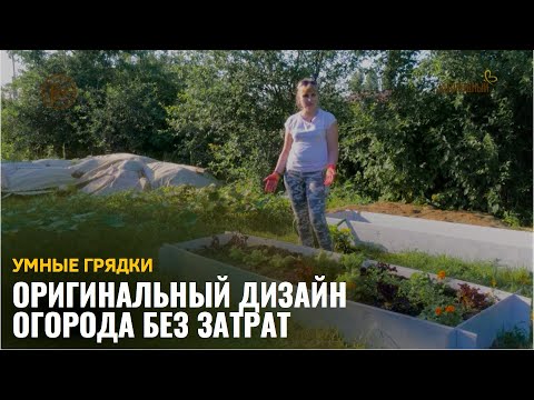 Видео: Оригинальный дизайн огорода без затрат / Умные грядки