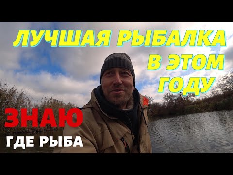 Видео: Лучшая рыбалка! Охота на хищника. Я знаю где рыба!!!