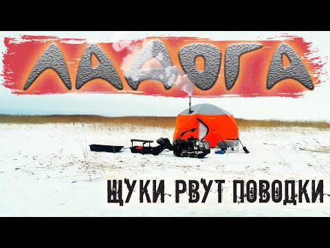 Видео: ЛАДОГА ЛОВИМ ТРОФЕЙНУЮ ЩУКУ