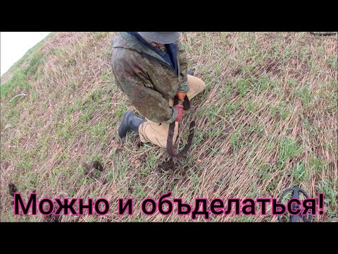 Видео: Копаем старинный металлолом в бывшей деревне