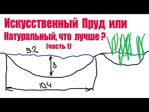 Видео: Искусственный пруд или натуральный, что лучше ? (часть1)