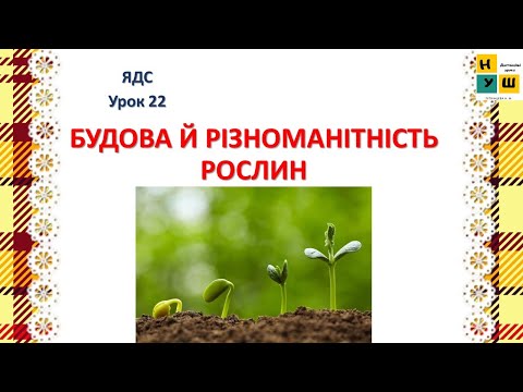 Видео: ЯДС 2 клас Урок 22 БУДОВА Й РІЗНОМАНІТНІСТЬ РОСЛИН. Жаркова