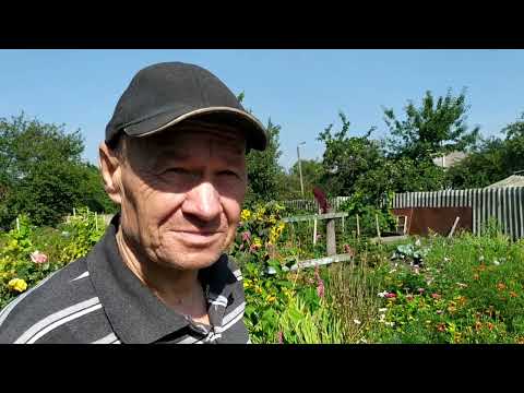 Видео: Що Валера купив на базарі. Помічники наші маленькі.