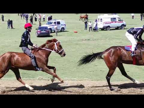 Видео: Скачки в с. Ансалта. 3-я партия, на 5 кругов. 3.05.2025