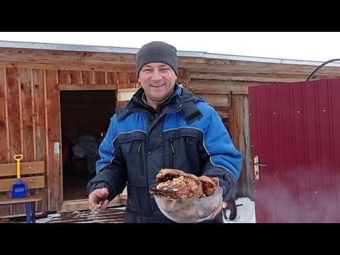 Видео: Как приготовить бобровый хвост?