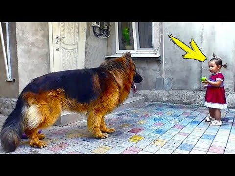 Видео: Девочка спасла нелюбимую собаку с рынка. То, что сделала собака дальше, поражает!