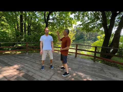 Видео: Видеоурок СТОЙКА ДЕРЕВО | Тайцзицюань