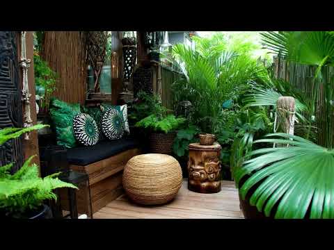 Видео: Идеи для тропического двора в 2025 году: пышные, зеленые и красивые небольшие проекты