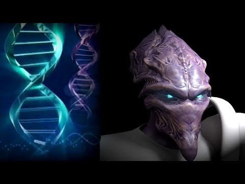 Видео: [Хроники StarCraft]  ФИЗИОЛОГИЯ  ПРОТОССОВ