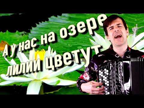 Видео: А у нас на озере ЛИЛИИ цветут (дворовая песня) - поет Вячеслав Абросимов
