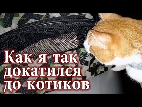 Видео: Про работу... кто, где, как это всё получилось