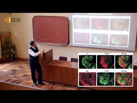 Видео: DESK Патофізіологія нирок 2