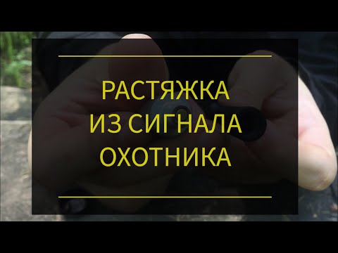 Видео: Растяжка из сигнала охотника. Проект Чистота.