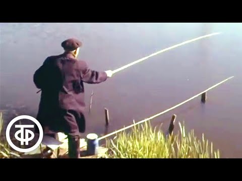Видео: Осенний пейзаж. Документальный фильм (1973)