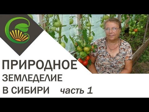 Видео: Природное земледелие в Сибири