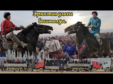 Видео: Ала Бука Жаны шаар/ Жыйын чон болду.