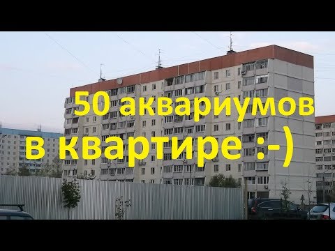 Видео: Много аквариумов в кваритире