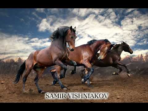 Видео: SAMIR VISHNIAKOV “ Птица ворон»