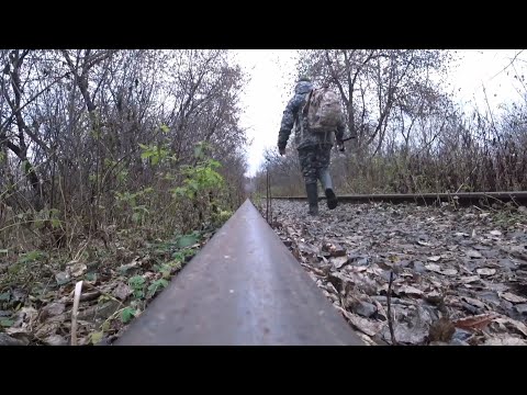 Видео: Сезон открытой воды закрыт.