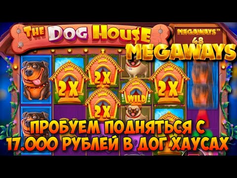 Видео: ПОПЫТКА ПОДНЯТЬСЯ С 17.000 РУБЛЕЙ В DOG HOUSE! / ВЫБИЛ ТРИ БОНУСКИ В СПИНАХ! / ДОГ ХАУСЫ НА ВЫДАЧЕ?