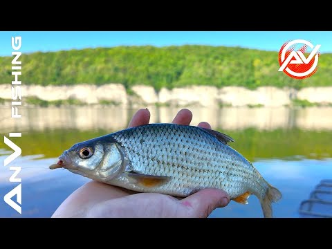 Видео: ДНІСТРОВСЬКА ПЛІТКА. Результативна риболовля в нерест