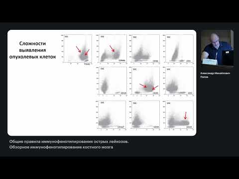 Видео: Общие правила иммунофенотипирования острых лейкозов. Обзорное иммунофенотипирование костного мозга