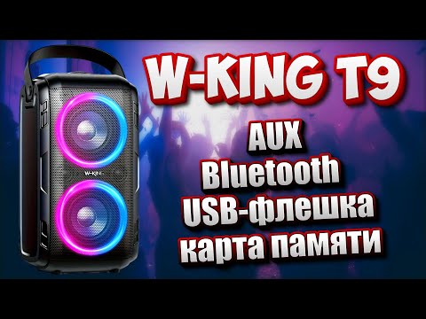Видео: Колонка W-King T9-2  - Возьми с собой на дачу!
