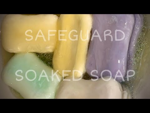 Видео: Soaked soap SAFEGUARD // Размокшее мыло ASMR 