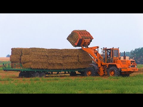 Видео: Погрузка 32 тюков .Погрузчикам то-18/ МТЗ-80