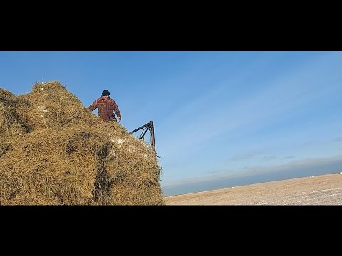 Видео: Жизнь в селе#Казахстан#Небольшой мороз,снова за соломой.С Ариной готовим перцы.