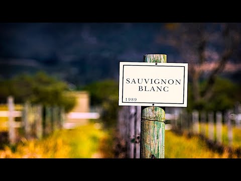 Видео: Совиньон Блан  Дикий Белый Sauvignon Blanc