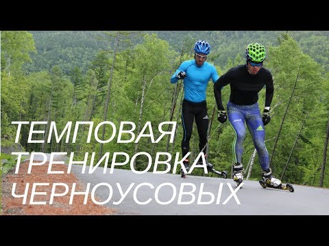 Видео: Как тренируют длинные интервалы Алексей и Илья Черноусовы