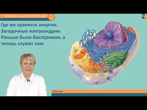 Видео: Корал Магний - роль для организма. Врач  О.Бутакова.