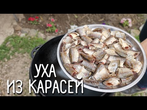 Видео: УХА ИЗ КАРАСЕЙ  В КАЗАНЕ НА КОСТРЕ