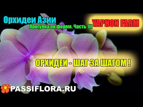 Видео: Отменяем визы - путешествуйте по фермам!