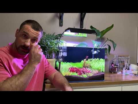 Видео: 18.10.2025. Dennerle 55l. 15 день с запуска.