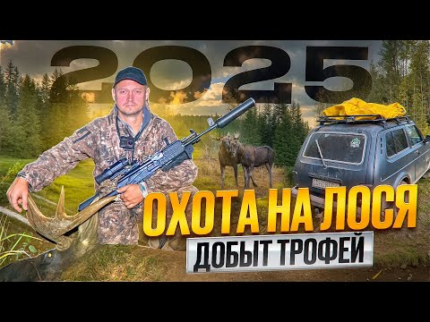Видео: ДОБЫЛ ТРОФЕЙНОГО ЛОСЯ // ОХОТА НА ГОНУ 2025