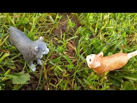 Видео: грозовое племя 1 сезон 4 серия