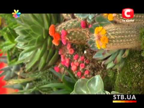 Видео: Вертикальная клумба - Все буде добре - Выпуск 180 - 09.05.2013 - Все будет хорошо - Все будет хорошо