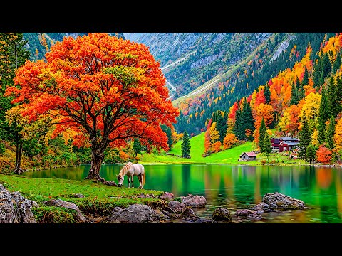 Видео: Расслабляющая музыка для снятия стресса🌿Успокаивающее фортепиано🌸Природная атмосфера