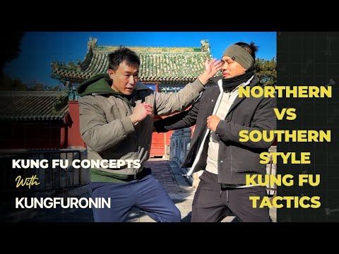 Видео: Тактика северного/южного кунг-фу с участием @EvosBasics (Вин-чунь, Чой-мок-пай против Син-и-цюань)