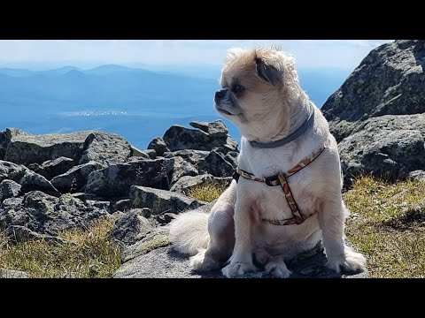 Видео: Конжаковский камень. Река Лобва.