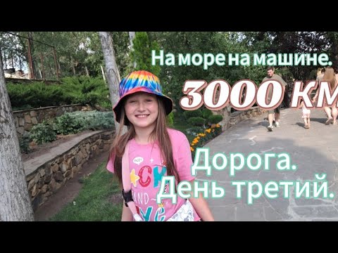 Видео: На море на машине с детьми💕 3000 км💕 дорога. День третий💕 Решили заехать в Лога -парк под Ростовом💕